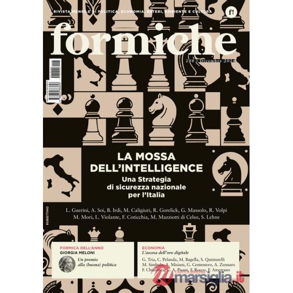 Formiche (2024). Vol. 208: La mossa dell'intelligence. Una strategia di sicurezza nazionale per l'Italia