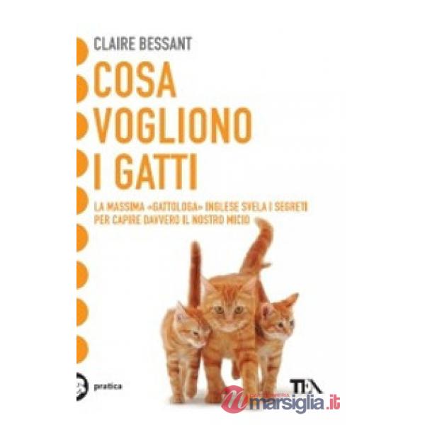 Cosa vogliono i gatti