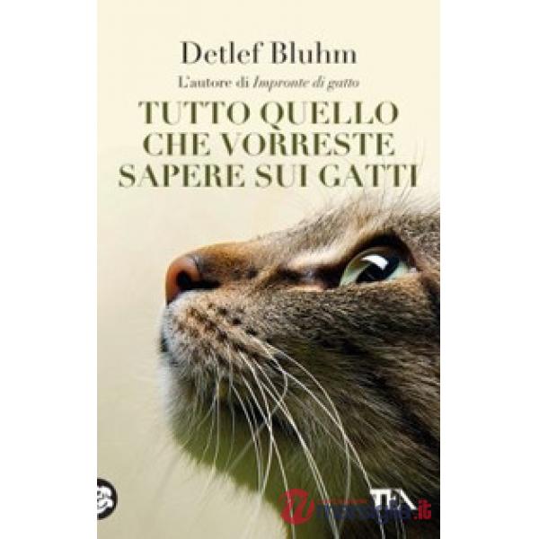 Tutto quello che vorreste sapere sui gatti