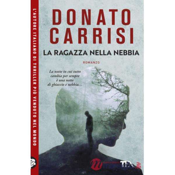 Ragazza nella nebbia (La)