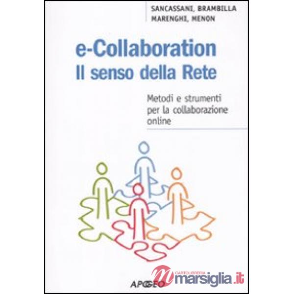 E-collaboration. Il senso della rete. Metodi e strumenti per la collaborazione o