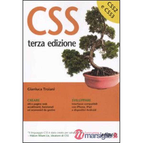 CSS