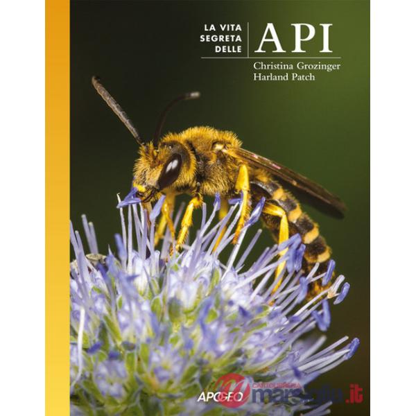 Vita segreta delle api (La)
