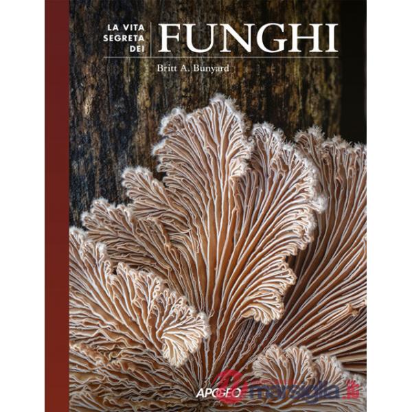 Vita segreta dei funghi (La)