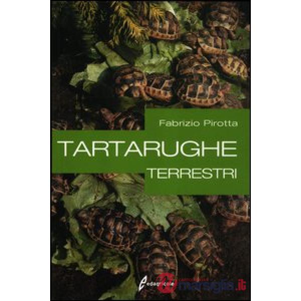 Tartarughe terrestri