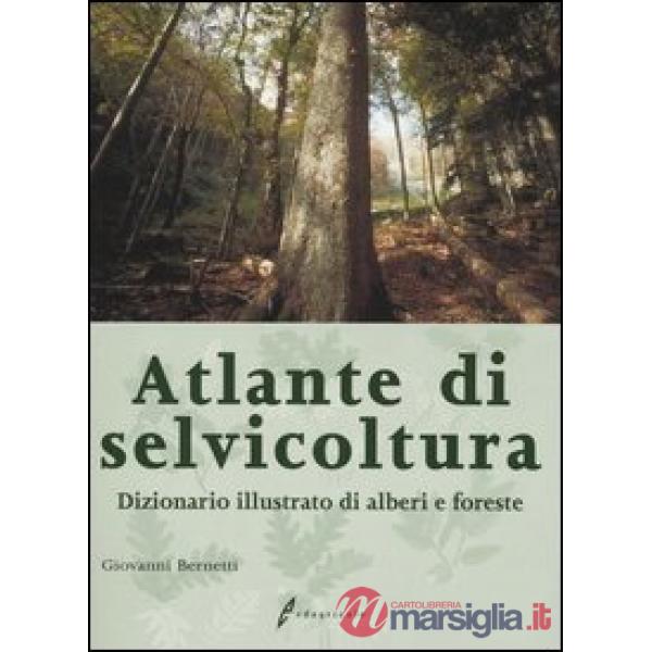 Atlante di selvicoltura. Dizionario illustrato di alberi e foreste