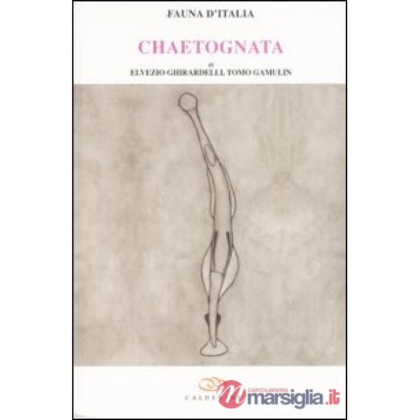 Chaetognatha