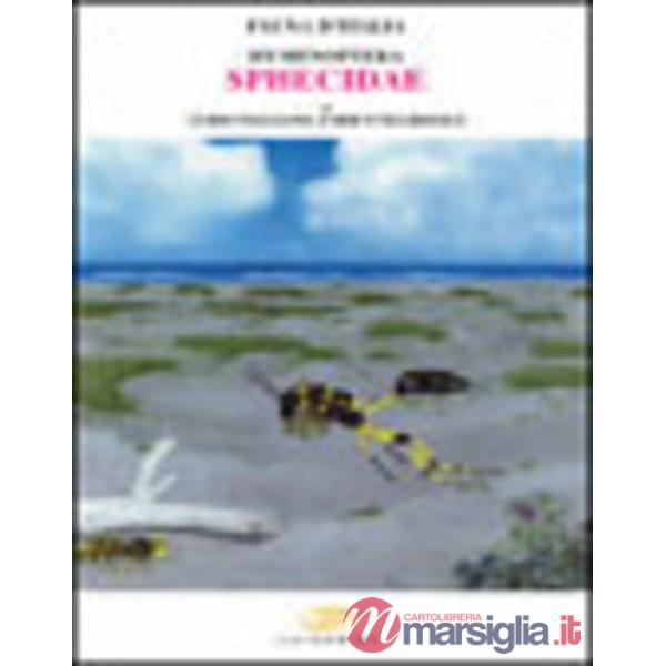 Hymenoptera sphecidae