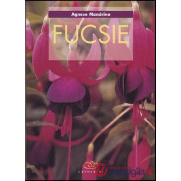 Fucsie