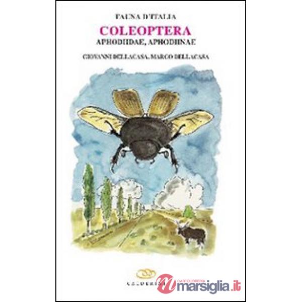 Coleoptera. Aphodiidae, aphodiinae