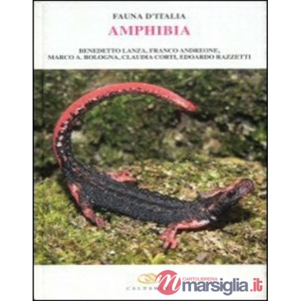 Amphibia. Vol. 42