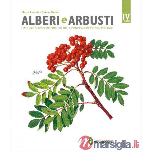 Alberi e arbusti. Manuale di riconoscimento delle principali specie ornamentali. Ediz. a colori