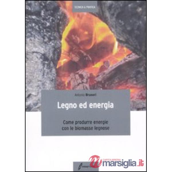 Legno ed energia. Come produrre energie con le biomasse legnose