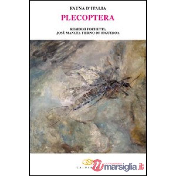 Plecoptera. Ediz. illustrata