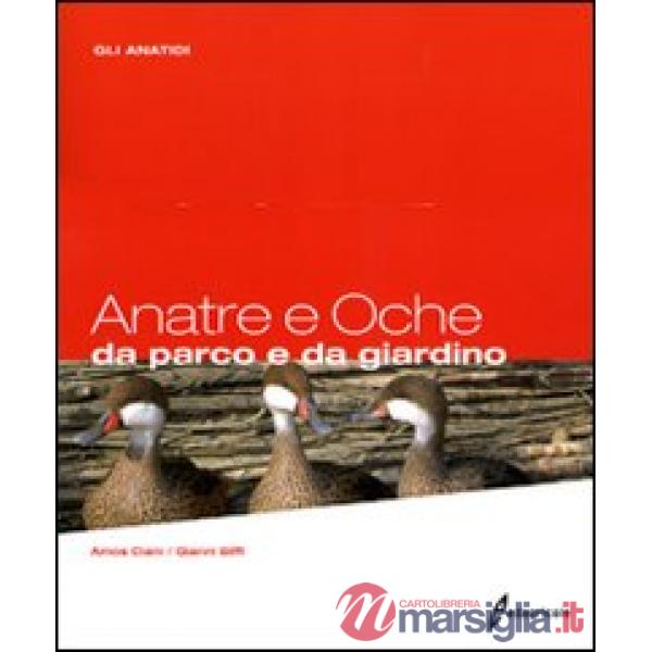 Anatre e oche da parco e da giardino. Gli anatidi. Ediz. illustrata