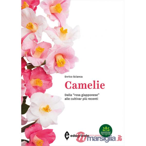 Camelie. Dalla «rosa giapponese» alle cultivar più recenti. Ediz. a colori