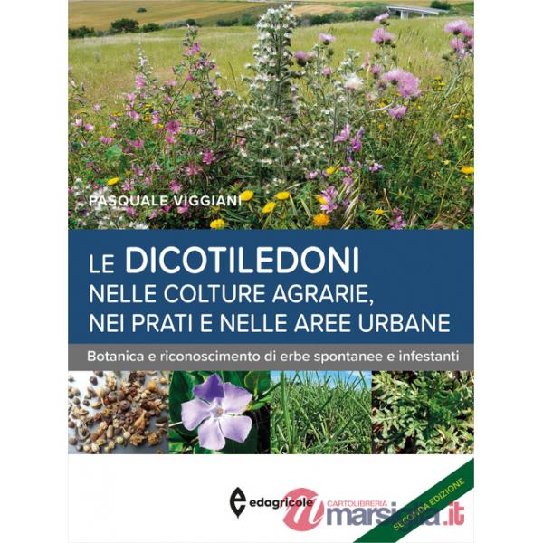 Dicotiledoni nelle colture agrarie, nei prati e nelle aree urbane. Botanica e riconoscimento di erbe spontanee e infestanti (Le)