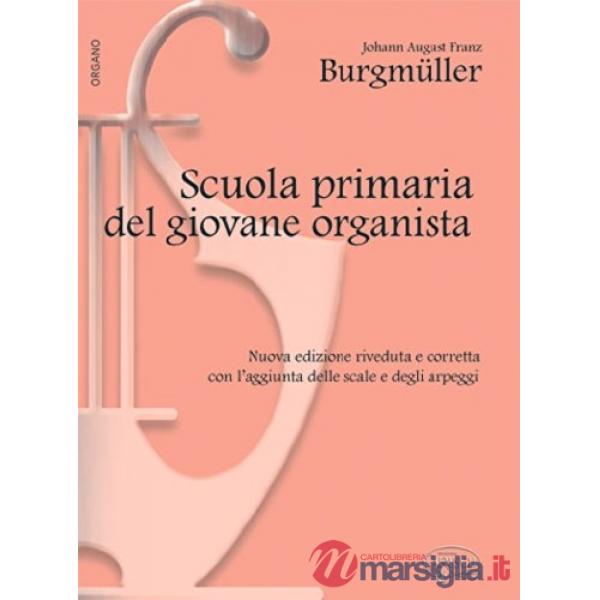 Scuola primaria giovane organista