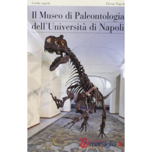 Museo di paleontologia dell'Università di Napoli (Il)