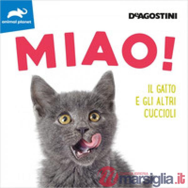 Miao! Il gatto e gli altri cuccioli. Ediz. a colori