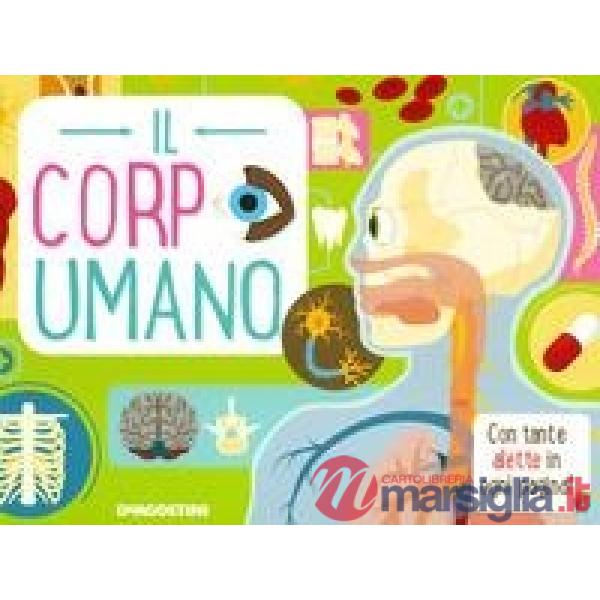 Corpo umano. Ediz. a colori (Il)