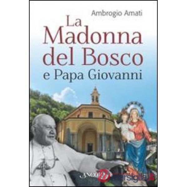 Madonna del bosco e papa Giovanni (La)