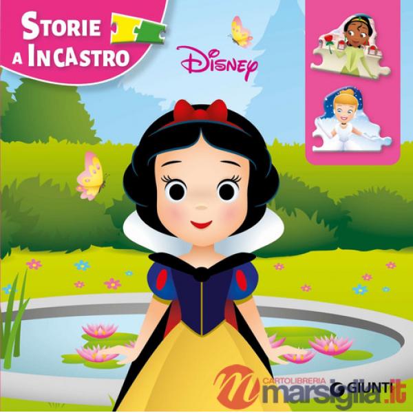 Principesse. Storie a incastro. Ediz. illustrata