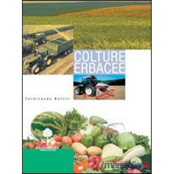 COLTURE ERBACEE-SI VENDE 5290174