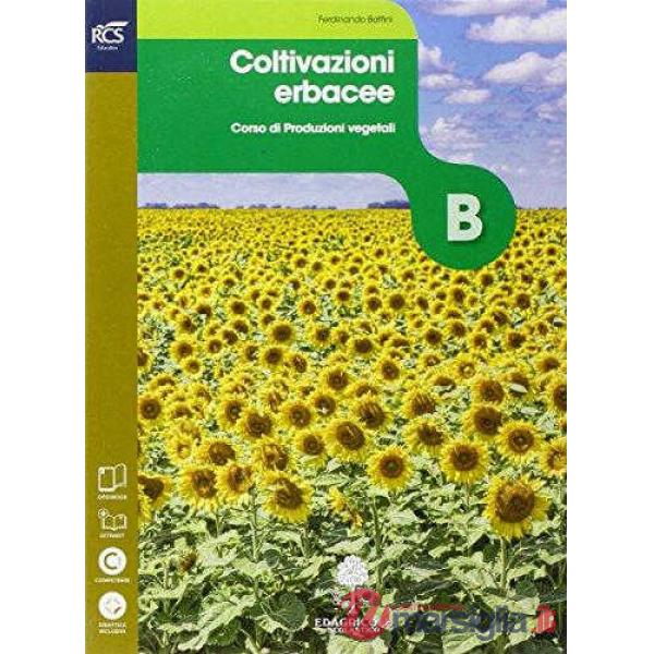 COLTURE ERBACEE SET MAIOR