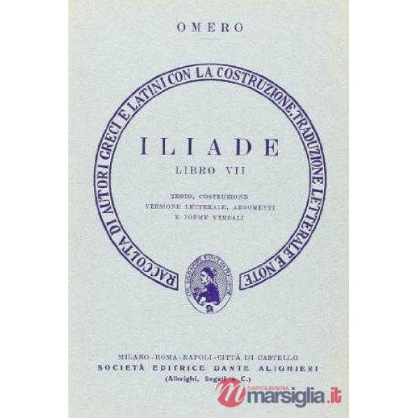 ILIADE, LIBRO VII