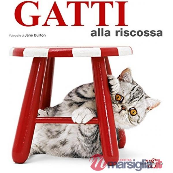 Gatti alla riscossa