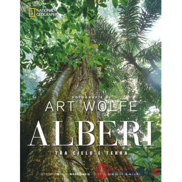 Alberi tra cielo e terra. Ediz. a colori