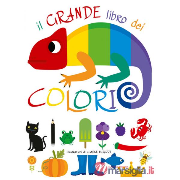 Grande libro dei colori. Ediz. a colori (Il)
