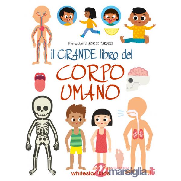 Grande libro del corpo umano. Ediz. a colori (Il)