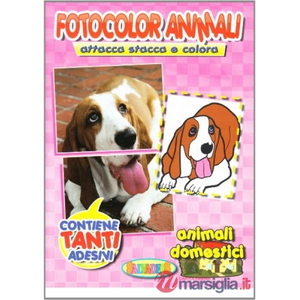 Collana fotocolor animali dal vero. Attacca/stacca e colora. ES 165 ABCD