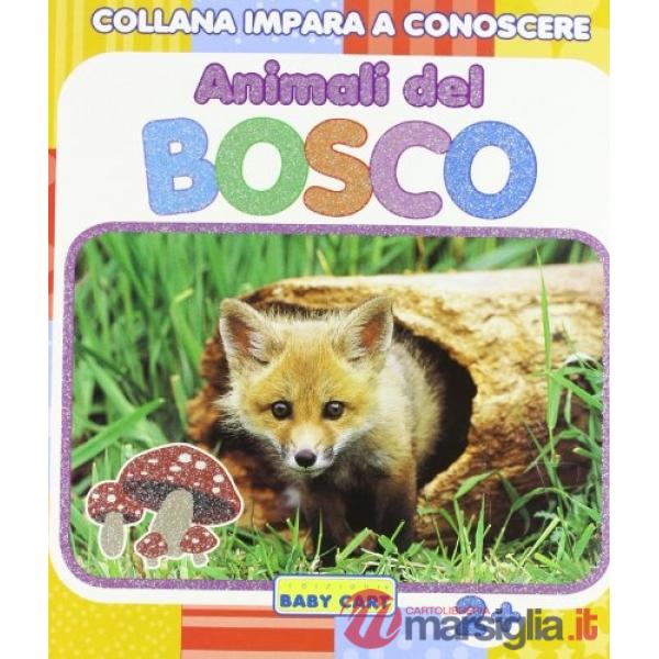 Impara a conoscere