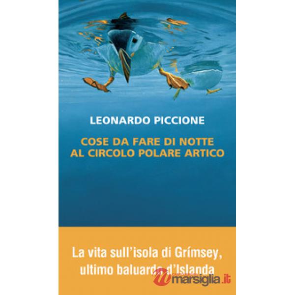 Cose da fare di notte al circolo polare artico