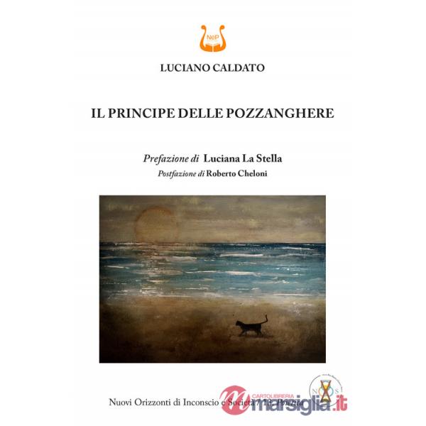 Principe delle pozzanghere (Il)