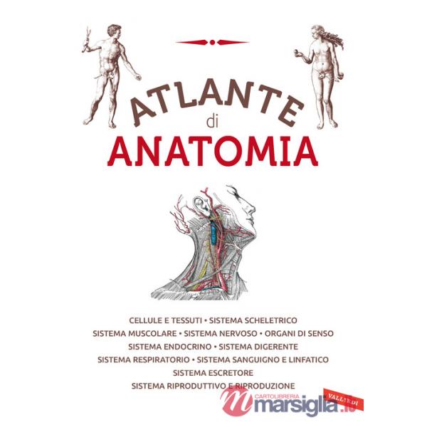 Atlante di anatomia