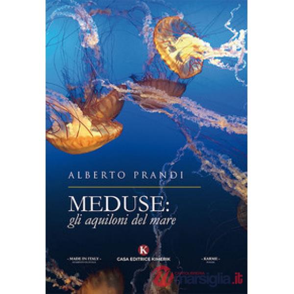 Meduse: gli aquiloni del mare