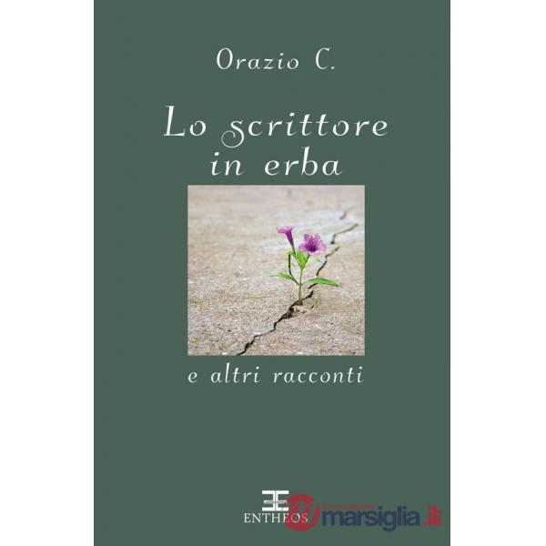 Scrittore in erba e altri racconti. Nuova ediz. (Lo)