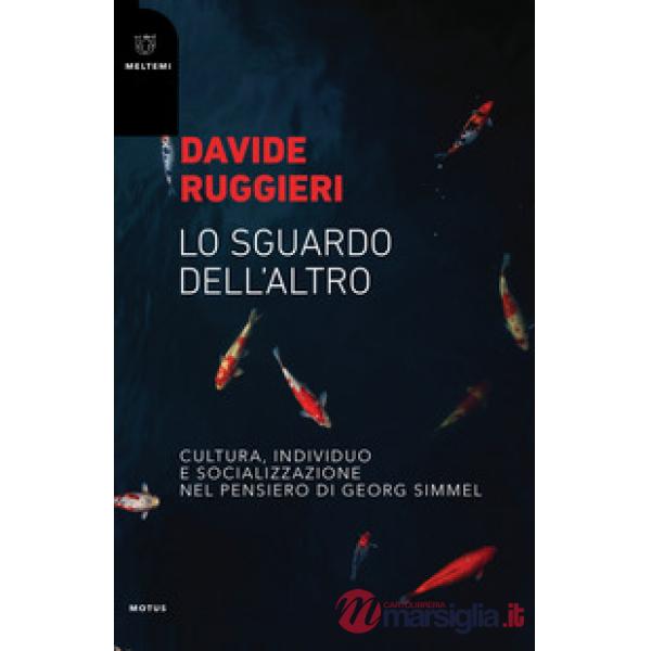 Sguardo dell'altro. Cultura, individuo e socializzazione nel pensiero di Georg S