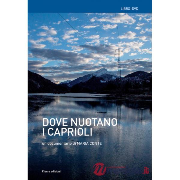 Dove nuotano i caprioli. Acque, memorie, tralicci e r-esistenze in Cadore