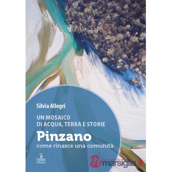 Mosaico di acqua, terra e storie. Pinzano, come rinasce una comunità. Ediz. a colori (Un)