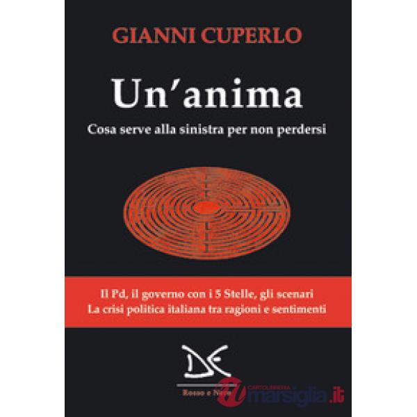 Anima. Cosa serve alla sinistra per non perdersi (Un')