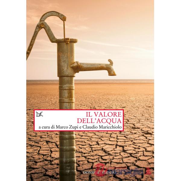 Valore dell'acqua (Il)