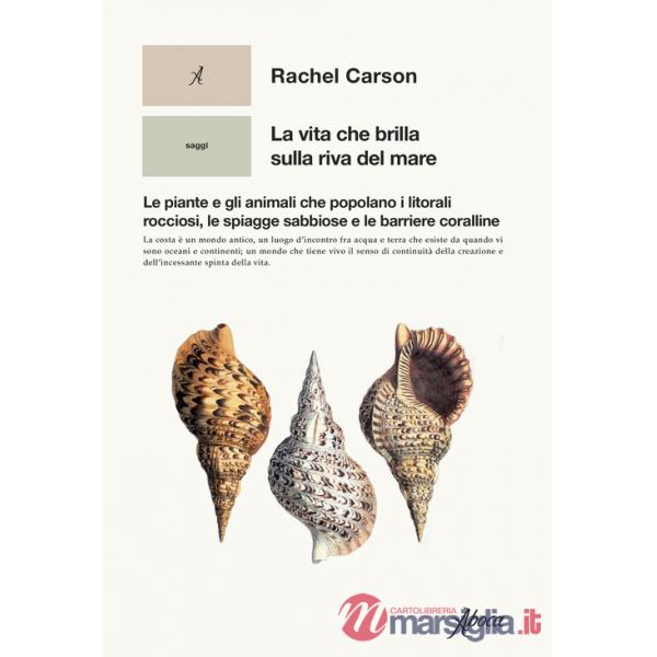 Vita che brilla sulla riva del mare. Le piante e gli animali che popolano i litorali rocciosi, le spiagge sabbiose e le barriere