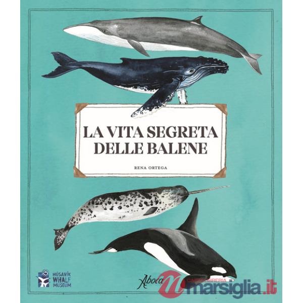 Vita segreta delle balene (La)