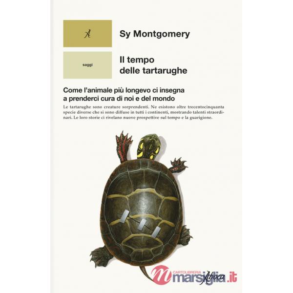 Tempo delle tartarughe. Come l'animale più longevo ci insegna a prenderci cura di noi e del mondo (Il)
