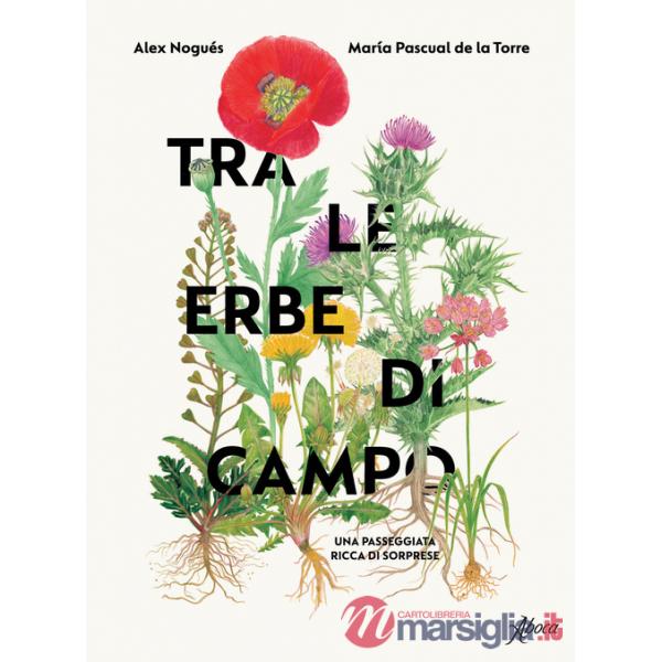 Tra le erbe di campo. Una passeggiata ricca di sorprese